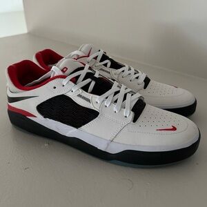 Nike SB Ishod Wair Premium Low Chicago DZ-5648-100